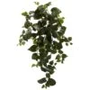 Hanging Philo Plant, 3ct. -Michaels D262553S 1