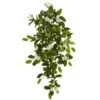 Hanging Mixed Stephanotis & Ivy Plant, 4ct. 2 Hanging Mixed Stephanotis & Ivy Plant, 4ct. -Michaels D262554S 1