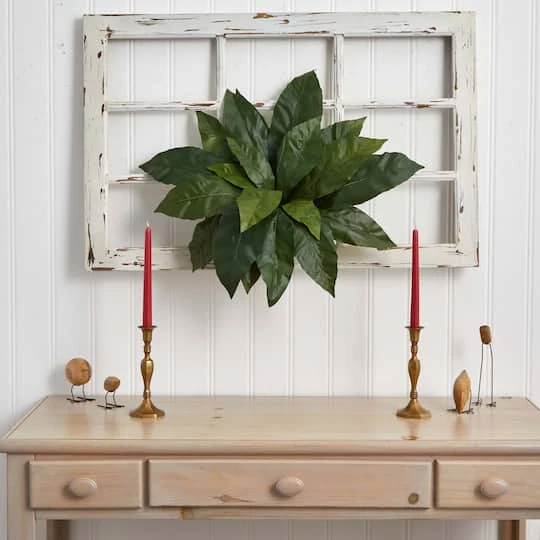 22" Bird's Nest Fern Plant, 3ct. 5 22" Bird's Nest Fern Plant, 3ct. - Image 3