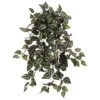 Hanging Inchplant Bush, 4ct. -Michaels D262563S 1