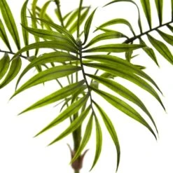 Mini Areca Palm Bushes -Michaels D262570S 2