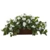 18'' White Bougainvillea Plant In Brown Planter 2 18'' White Bougainvillea Plant In Brown Planter -Michaels D262582S 11