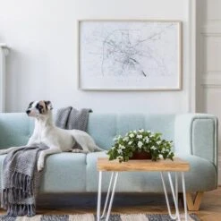 18'' White Bougainvillea Plant In Brown Planter -Michaels D262582S 13