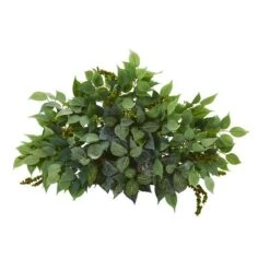 20'' Mixed Ficus & Fittonia Ledge Plant -Michaels D262583S 11 1