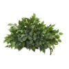 20'' Mixed Ficus & Fittonia Ledge Plant -Michaels D262583S 11