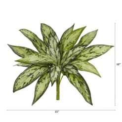 Silver Queen Plant, 6ct. -Michaels D262599S 12