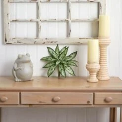 Silver Queen Plant, 6ct. -Michaels D262599S 13