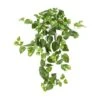 2ft. Pothos Hanging Bush, 3ct. -Michaels D262601S 11