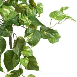 2ft. Pothos Hanging Bush, 3ct. -Michaels D262601S 12