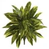 Green Spiderwort Bush, 6ct. -Michaels D262603S 1