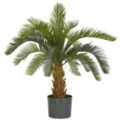 2.5ft. Potted Cycas Tree 5 2.5ft. Potted Cycas Tree -Michaels D262633S 1 1