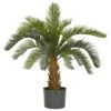 2.5ft. Potted Cycas Tree 2 2.5ft. Potted Cycas Tree -Michaels D262633S 1