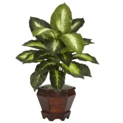 20.5" Golden Dieffenbachia In Wood Vase, 2ct. 7 20.5" Golden Dieffenbachia In Wood Vase, 2ct. -Michaels D262641S 2