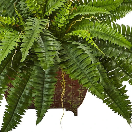 23" Boston Fern In Metallic Planter 6 23" Boston Fern In Metallic Planter - Image 4