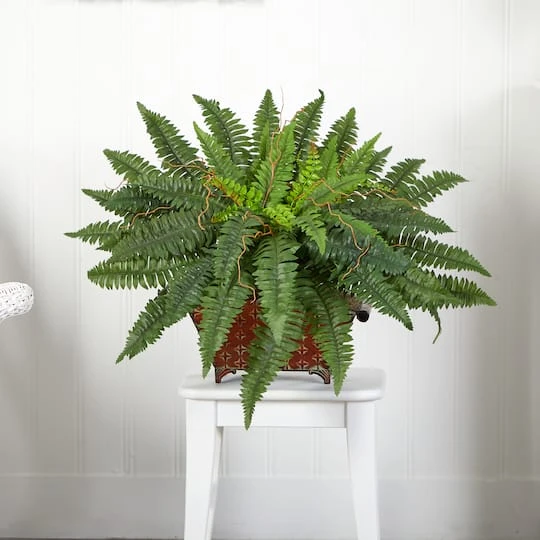 23" Boston Fern In Metallic Planter 7 23" Boston Fern In Metallic Planter - Image 5