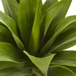 Green Large Agave Pick -Michaels D262650S 14