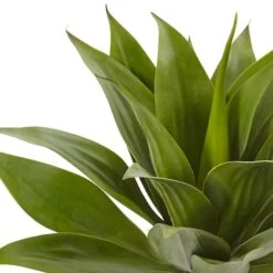 Green Large Agave Pick -Michaels D262650S 15