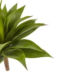 Green Large Agave Pick -Michaels D262650S 16