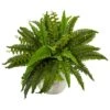 14" Boston Fern In White Planter -Michaels D262653S 11