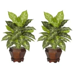 20.5" Variegated Dieffenbachia In Wood Vase, 2ct. 8 20.5" Variegated Dieffenbachia In Wood Vase, 2ct. -Michaels D262657S 11 1