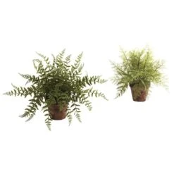 12" Fern In Decorative Planter, 2ct.