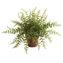 12" Fern In Decorative Planter, 2ct. -Michaels D262662S 2