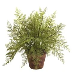 12" Fern In Decorative Planter, 2ct. -Michaels D262662S 3