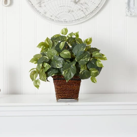 17" Pothos In Coiled Rope Planter 5 17" Pothos In Coiled Rope Planter - Image 3