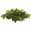 16" Pothos In Rectangle Decorative Planter -Michaels D262673S 11