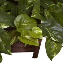 16" Pothos In Rectangle Decorative Planter -Michaels D262673S 13