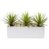 8" Mini Agaves In Rectangular Ceramic Planter -Michaels D262674S 11