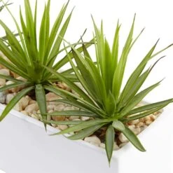 8" Mini Agaves In Rectangular Ceramic Planter -Michaels D262674S 12