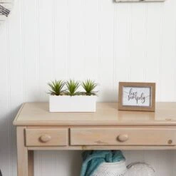 8" Mini Agaves In Rectangular Ceramic Planter -Michaels D262674S 15