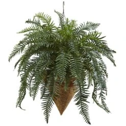 2.5ft. Giant River Fern With Cone Hanging Basket