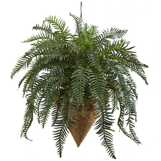 2.5ft. Giant River Fern With Cone Hanging Basket 3 2.5ft. Giant River Fern With Cone Hanging Basket
