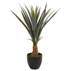 2.5ft. Agave In Black Planter -Michaels D262725S 11 1