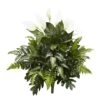 Peace Lily, Philodendron, And Fern Bush, 2ct. -Michaels D262726S 1