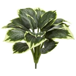 Variegated Hosta, 6ct. -Michaels D262756S 2