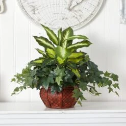 20" Dieffenbachia & Ivy In Decorative Planter -Michaels D262760S 12
