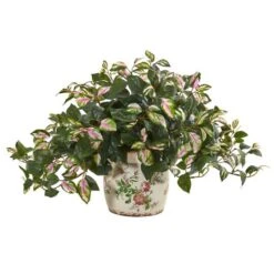 18" Hoya Tricolor In Floral Planter