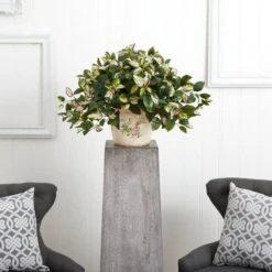 18" Hoya Tricolor In Floral Planter -Michaels D262762S 12