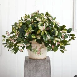18" Hoya Tricolor In Floral Planter -Michaels D262762S 13