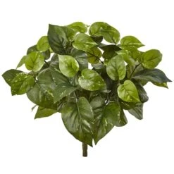 16" Pothos Bush, 6ct.