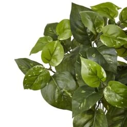 16" Pothos Bush, 6ct. -Michaels D262771S 3