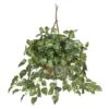 2ft. Pothos In Hanging Basket -Michaels D262772S 11