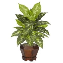 20.5" Assorted Dieffenbachia In Wood Vase, 2ct. -Michaels D262779S 13
