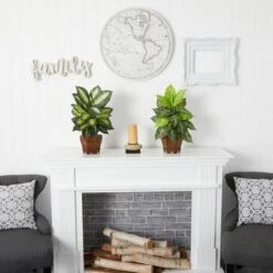 20.5" Assorted Dieffenbachia In Wood Vase, 2ct. -Michaels D262779S 15