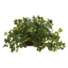 16" Raspberry Plant In Decorative Planter -Michaels D262780S 1