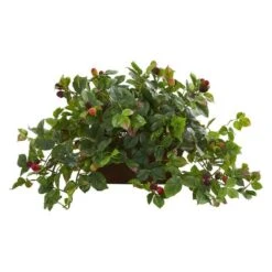 16" Raspberry Plant In Decorative Planter