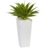 2ft. Agave In White Planter -Michaels D262808S 11